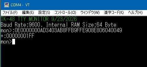file1.jpg