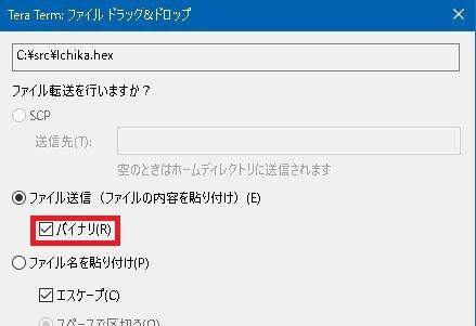 file3.jpg